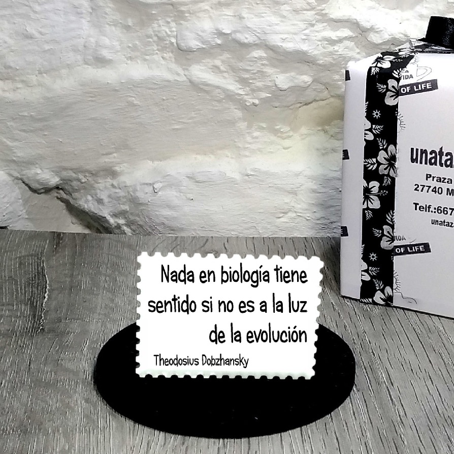 IMÁN. Nada en biología tiene sentido si no es a la luz de la evolución.Theodosius Dobzhansky